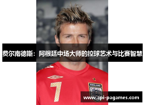 费尔南德斯：阿根廷中场大师的控球艺术与比赛智慧